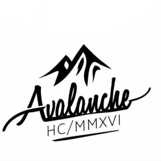 Avalanche's avatar image