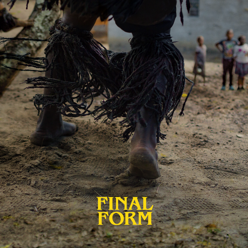 #finalform's cover