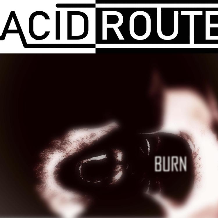 Acid Route's avatar image