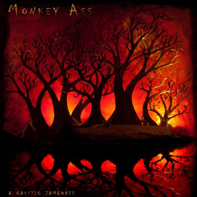 monkey ass's avatar image