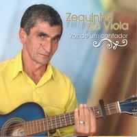 Zequinha da Viola's avatar cover