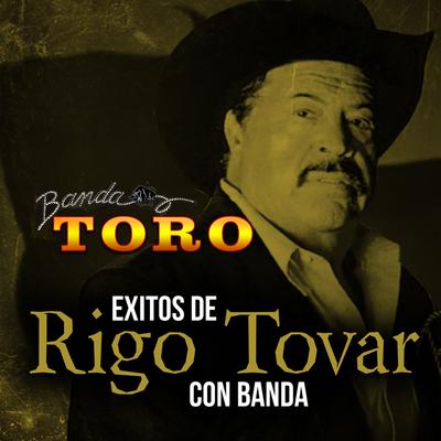 Exitos de Rigo Tovar Con Banda's cover
