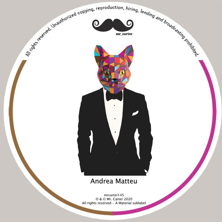 Andrea Matteu's avatar image