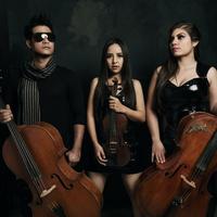 Tempus Quartet's avatar cover