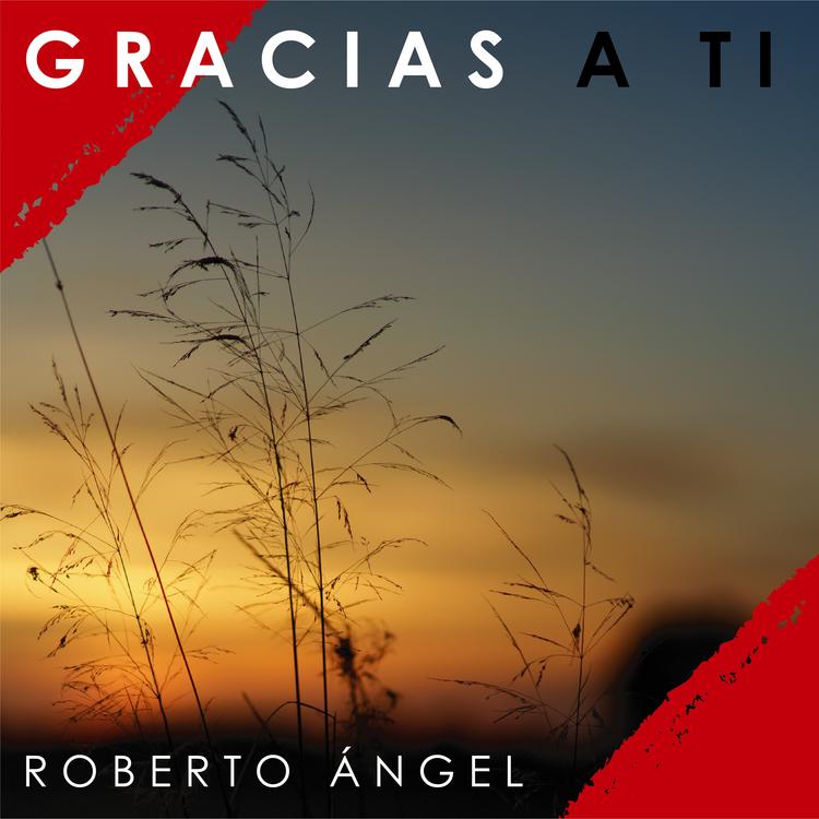 Roberto Angel's avatar image