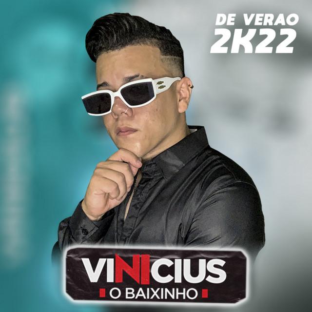 Vinicius o Baixinho's avatar image