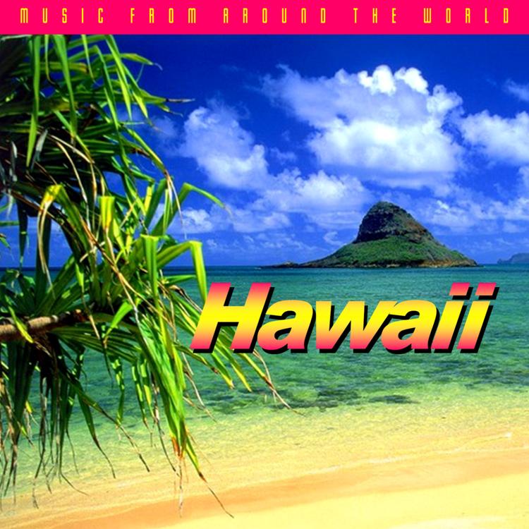 Hawaiian Music Group's avatar image