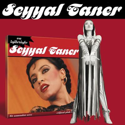 Seyyal Taner's cover