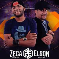 Zeca Bota Bom e Elson Vaqueiro's avatar cover