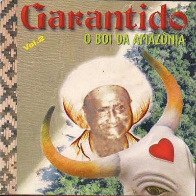 Boi de Amor e Lágrima By Boi Bumba Garantido's cover