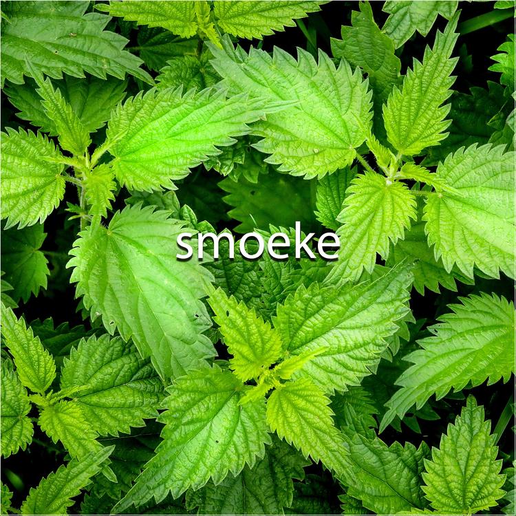 smoeke's avatar image