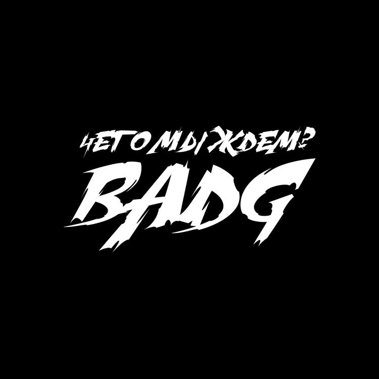 BADG's avatar image