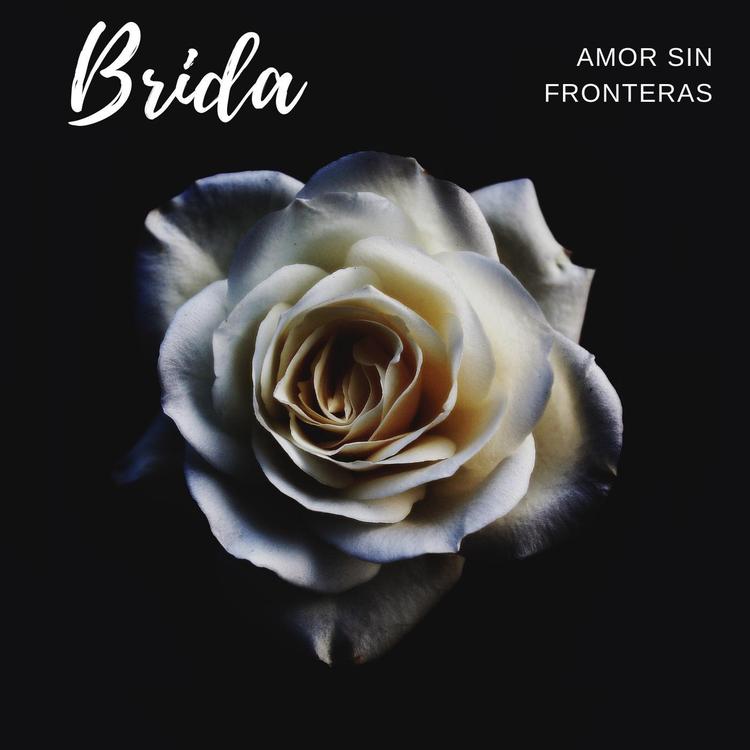 Brida's avatar image