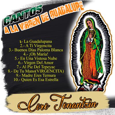 Cantos a la Virgen de Guadalupe's cover