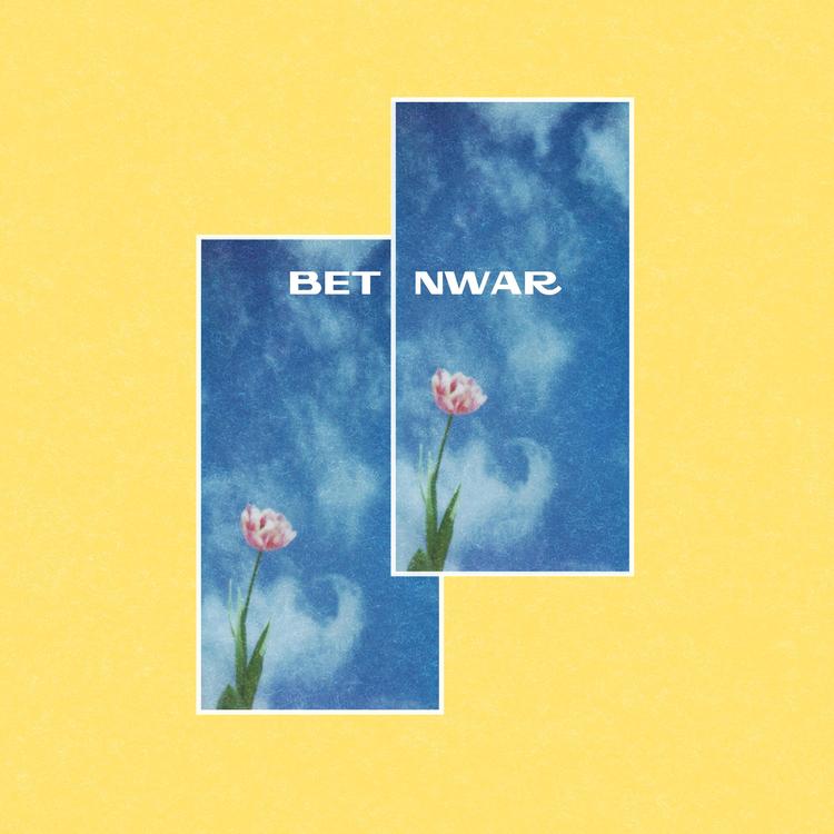 Bet Nwar's avatar image