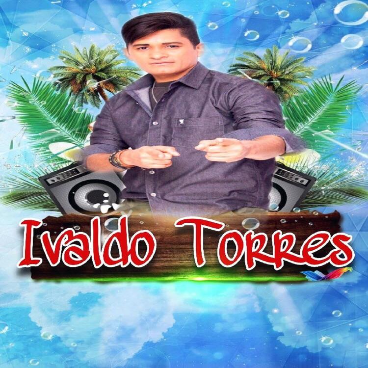 IvaldoTorres's avatar image