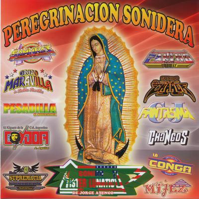 Peregrinacion Sonidera's cover