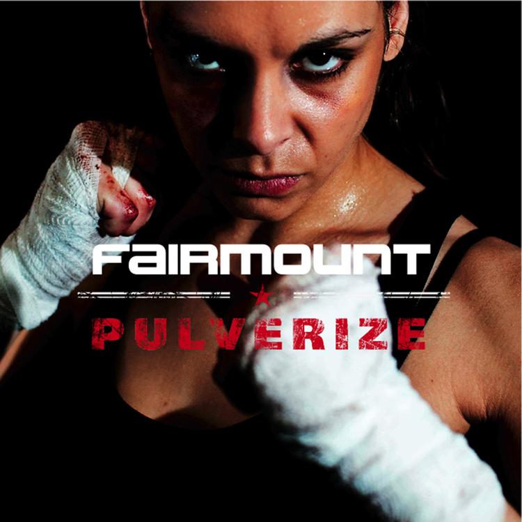 Fairmount's avatar image