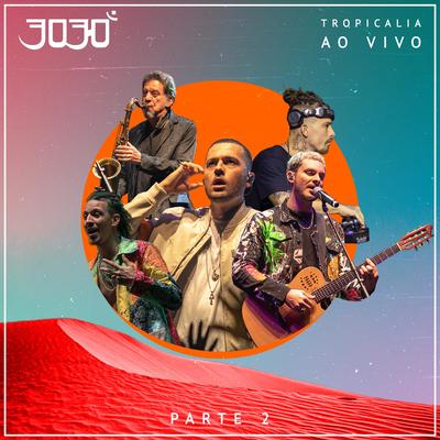 Meu Jardim (Ao Vivo) By 3030, Leo Gandelman's cover