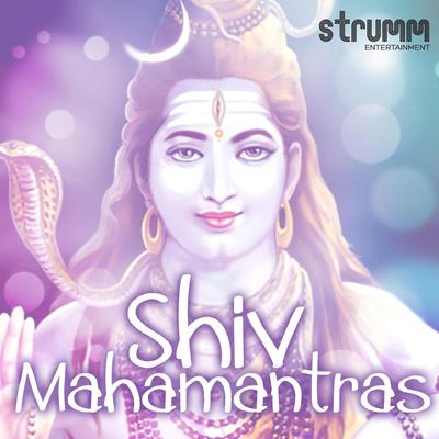 Om Namah Shivay's cover