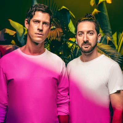 Big Gigantic's cover