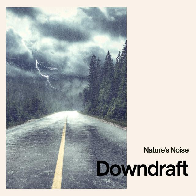 Nature's Noise's avatar image