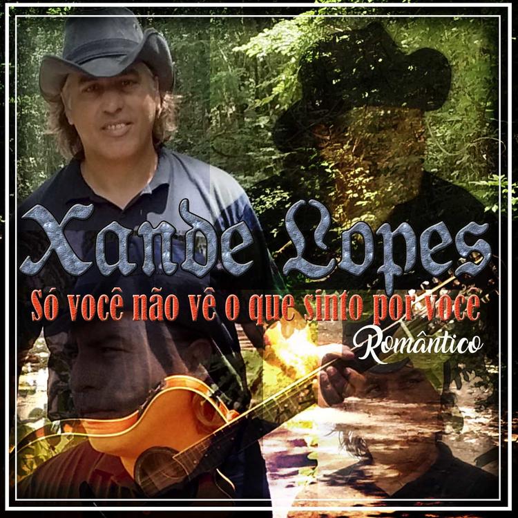 Xande Lopes's avatar image