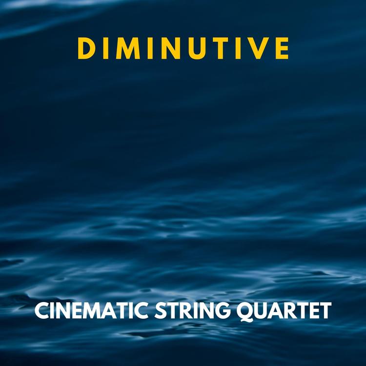 Cinematic String Quartet's avatar image