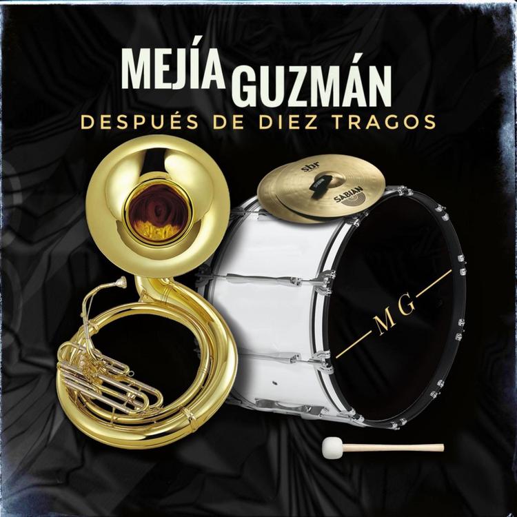 Mejía Guzmán's avatar image