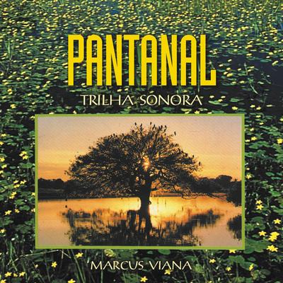 Pantanal By Marcus Viana's cover