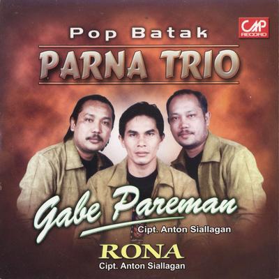 Parna Trio's cover