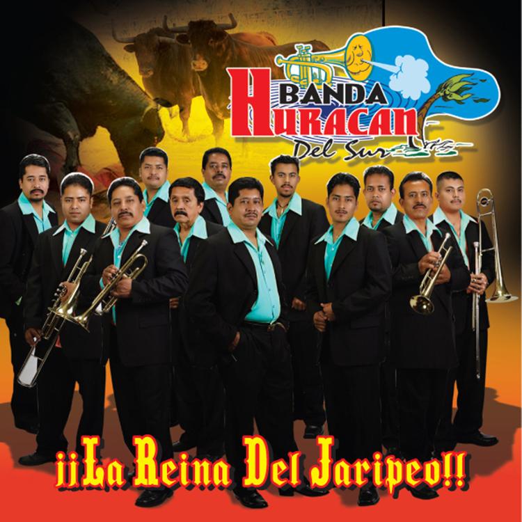 Banda Huracan del Sur's avatar image