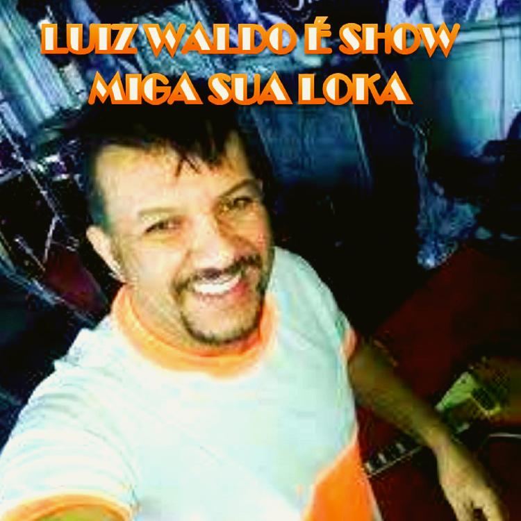 Luiz Waldo's avatar image