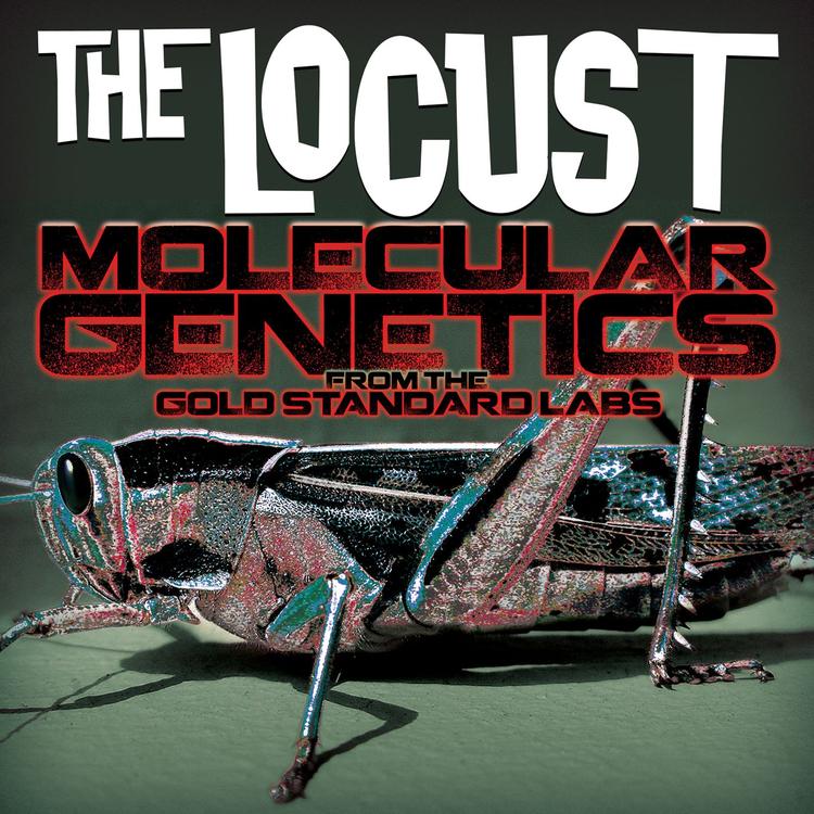 The Locust's avatar image