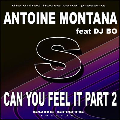 Can You Feel It (Club Mix Privat Bootleg)'s cover