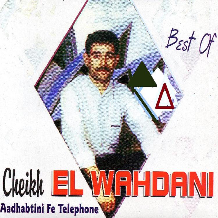 Cheikh El Wahdani's avatar image