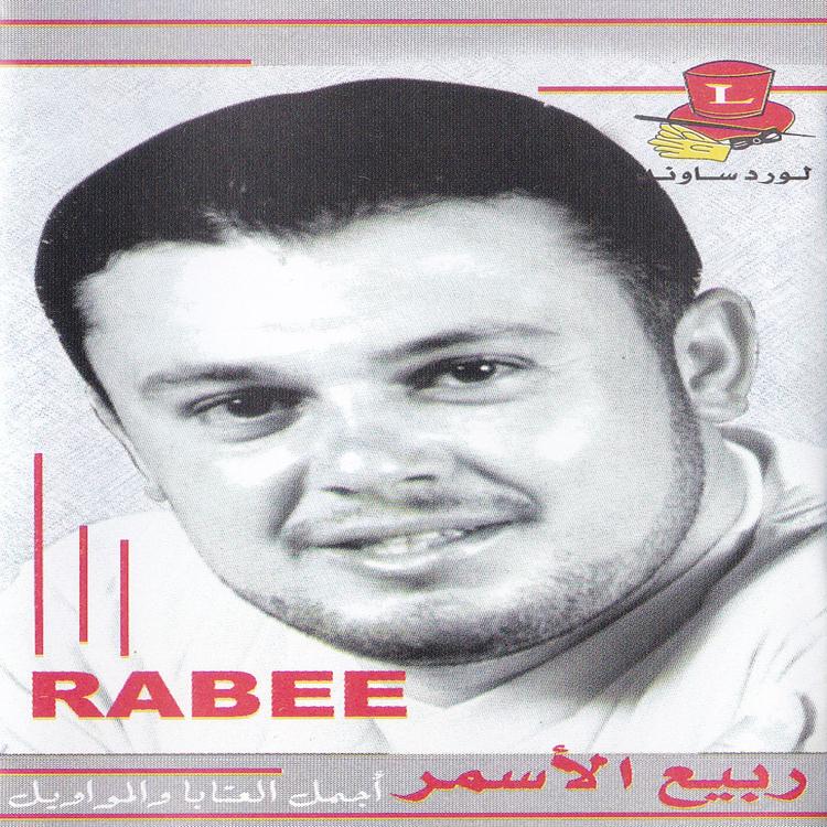 Rabie Al Asmar's avatar image