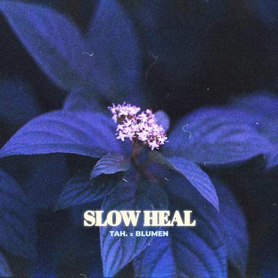 Slow Heal By Blumen, Tah.'s cover