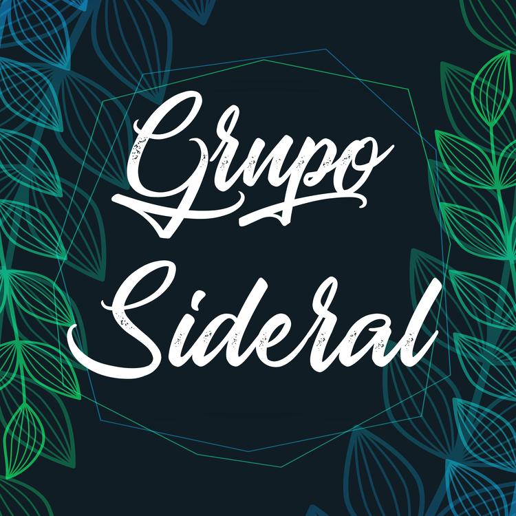 Grupo Sideral's avatar image