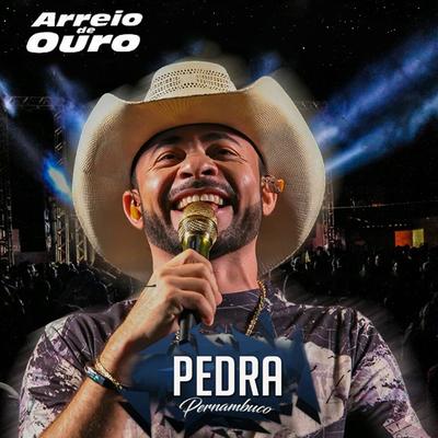 O Melhor Vaqueiro Sou Eu (Ao Vivo) By Arreio de Ouro's cover