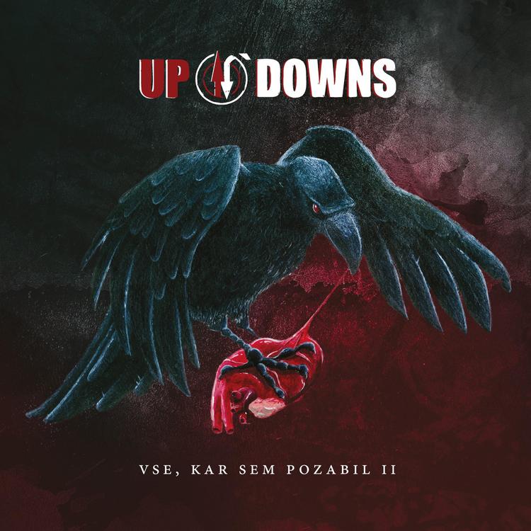 Up N' Downs's avatar image