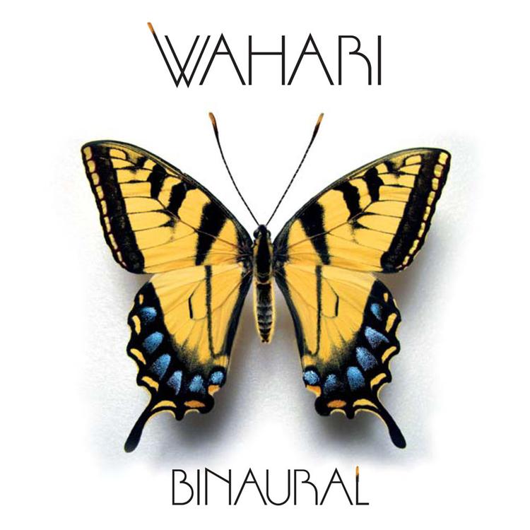 Wahari Brasil's avatar image