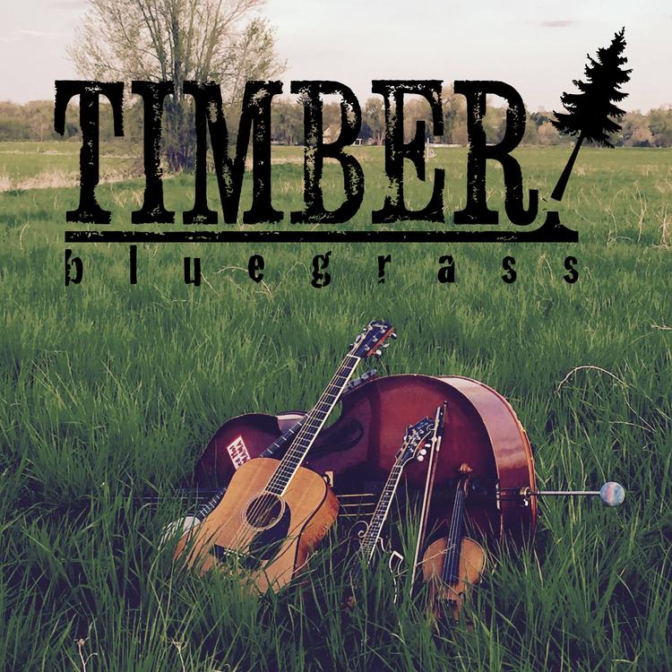 Timber's avatar image