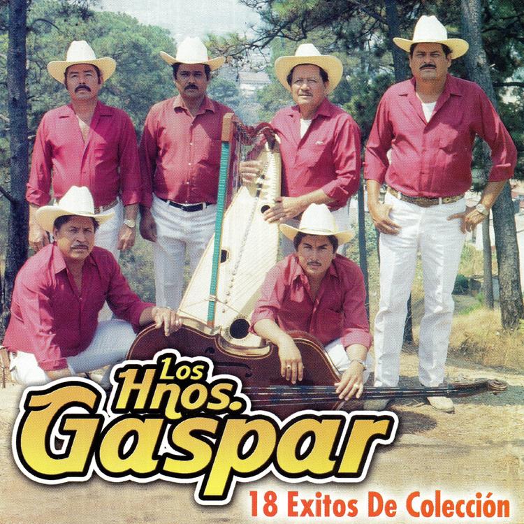 Los Hnos. Gaspar's avatar image