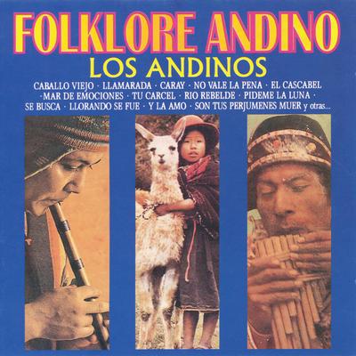 Folklore Andino's cover
