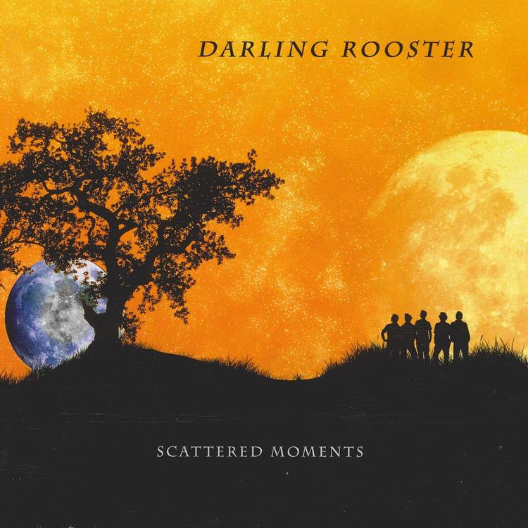 Darling Rooster's avatar image