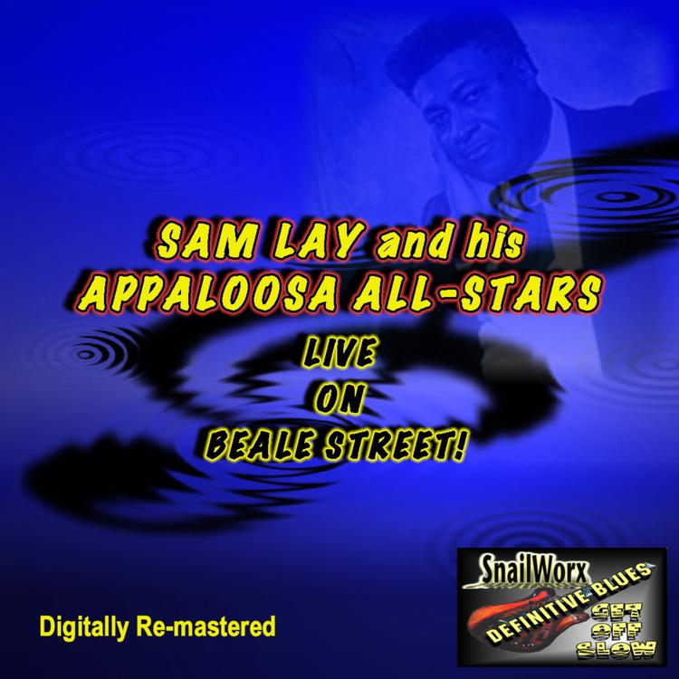 Sam Lay And His Appaloosa All-Stars's avatar image