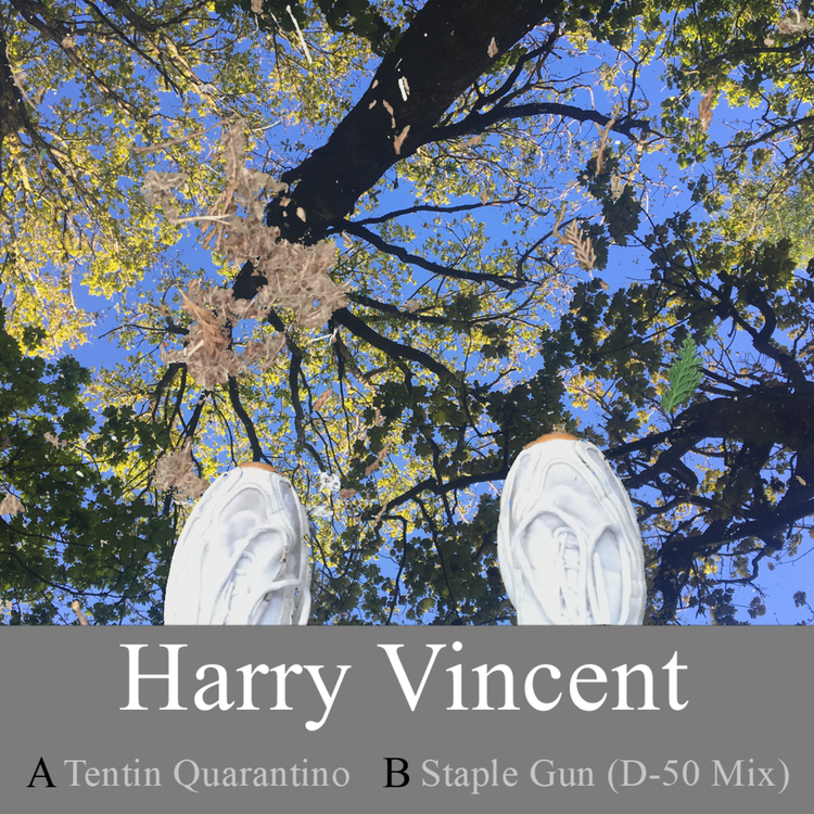 Harry Vincent's avatar image