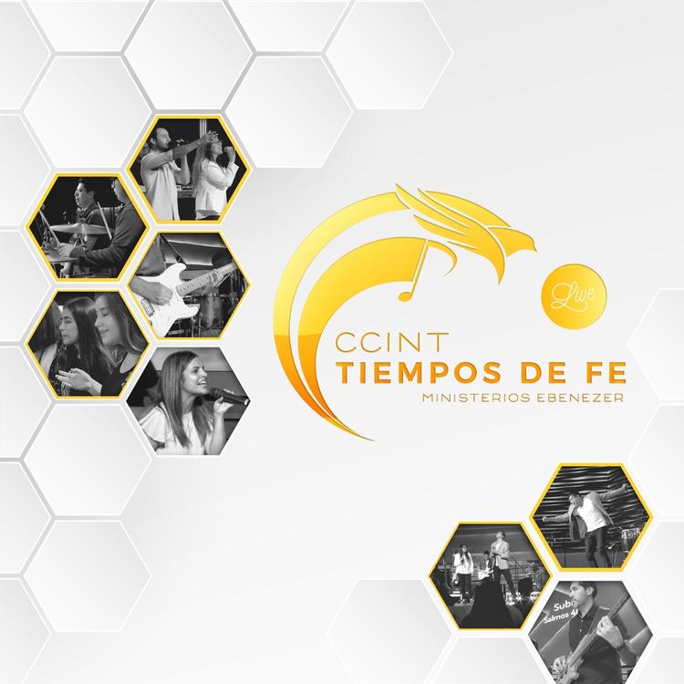 Tiempos de Fe's avatar image