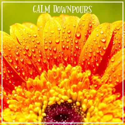 Calm Downpours's cover